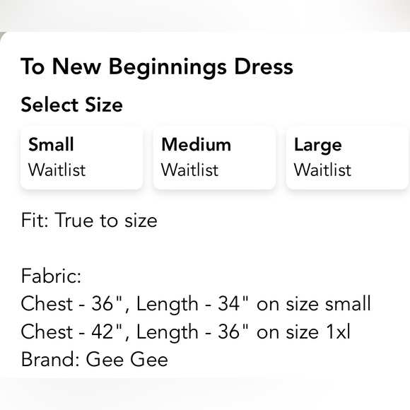 GeeGee Dress - SZ Medium - Terracotta color dress w/lining, swiss dot fabric - Picture 9 of 11